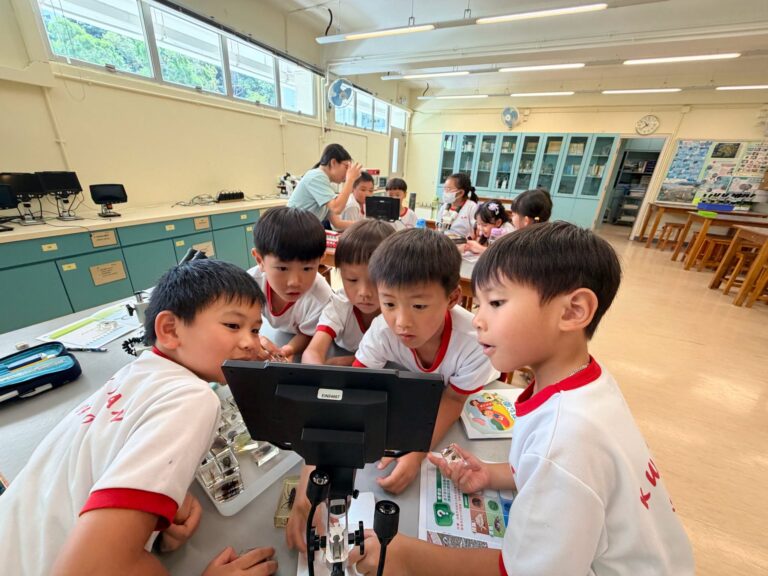 長洲國民學校二年級學生於陳震夏郊野學園使用顯微鏡觀察昆蟲標本